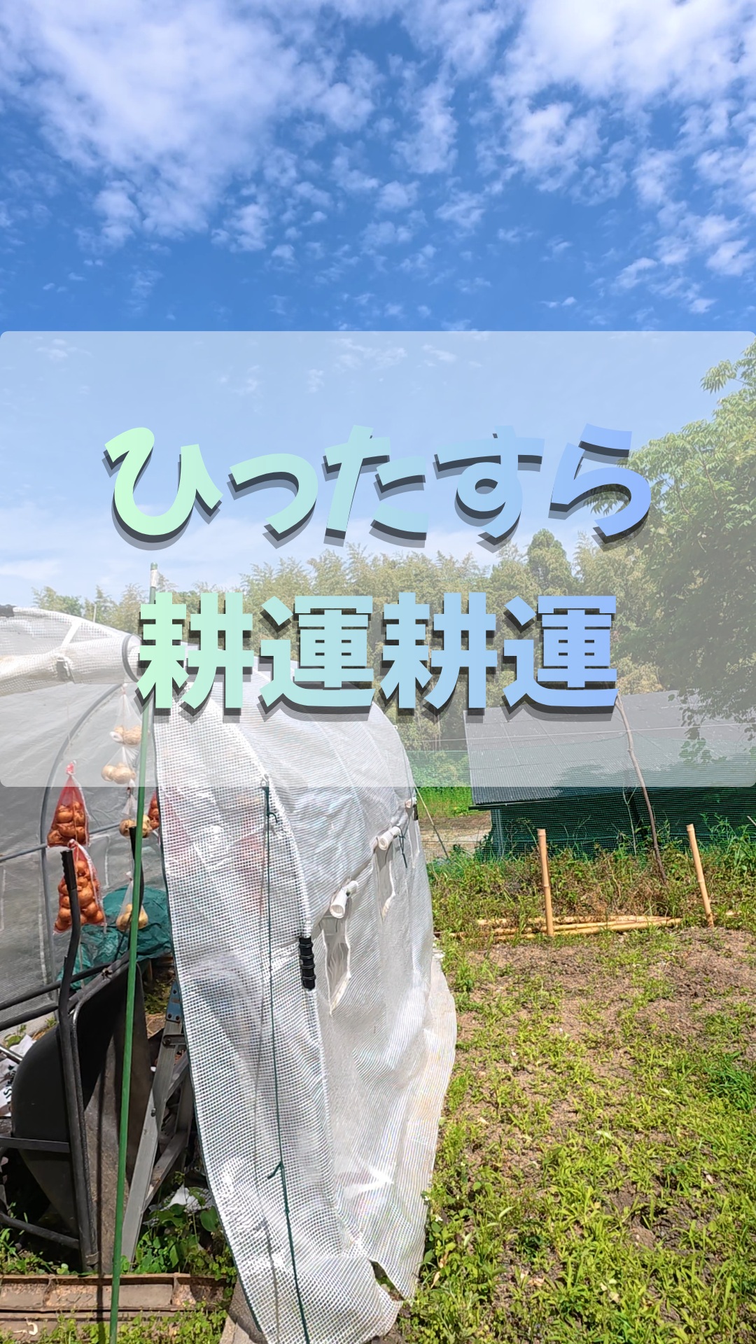 みなさま本日もお疲れ様です😊
各地で台風が被害を及ぼしているそうです。湘南もこれから上陸🌀
大きな被害が出ないことをお祈り致します🙏

トレオフファームでは毎週のように耕運→苗定植を繰り返しております。
本日は畑作業できませんが、
今後の準備を着々と進めております🥬
それでは、本日も頑張っていきましょー！

#トレオフファーム #湘南台風6号 #湘南夏野菜 #耕作放棄地開墾