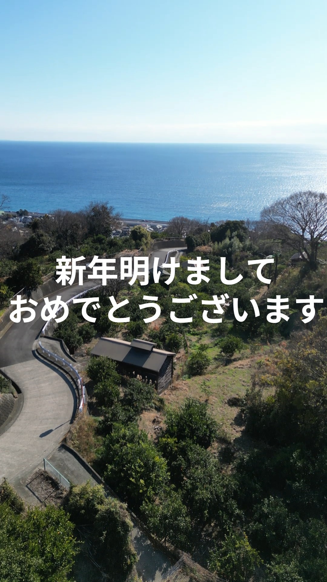 みなさま新年明けましておめでとうございます😊本年もトレオフファームを宜しくお願いいたします🥺そして今年も皆さまにとってより良い1年になりますように🥰2026.01.01.元旦のトレオフファームは地元湘南をお守り頂いている氏神様へお参りに。その後、畑に行き、冬でも温かい湘南地域ではありますが、年始の強烈寒波！防寒作業の為、畑作業を行いました！冬の畑も面白いです。同時に春の準備を進めてまいります✌

#2026トレオフファーム #オリジナルグッツ #耕作放棄地管理 #畑管理 #開墾畑 #山林管理 #山林伐根