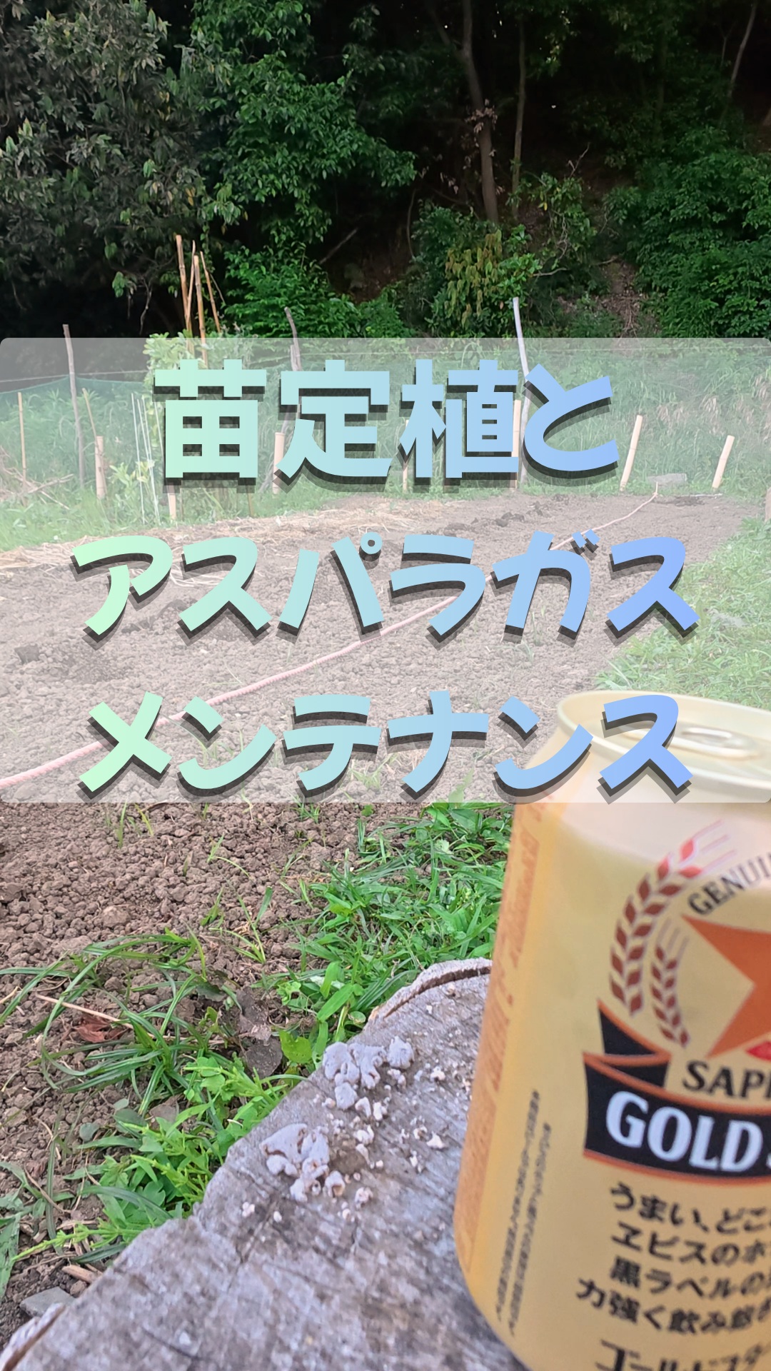 みなさま本日もおはようございます😊
夏野菜の定植祭りに追われているトレオフファームでございます。
毎日畑作業が充実しており最高です💯
寒暖差が大きく体調管理にはお気を付けください🤧
最近代わり映えのない映像ではありますが、良かったら活動の一部を覗いてみてください！
それでは本日も張り切っていきましょー！

#トレオフファーム #夏野菜苗定植 #湘南無農薬野菜販売 #耕作放棄地開墾