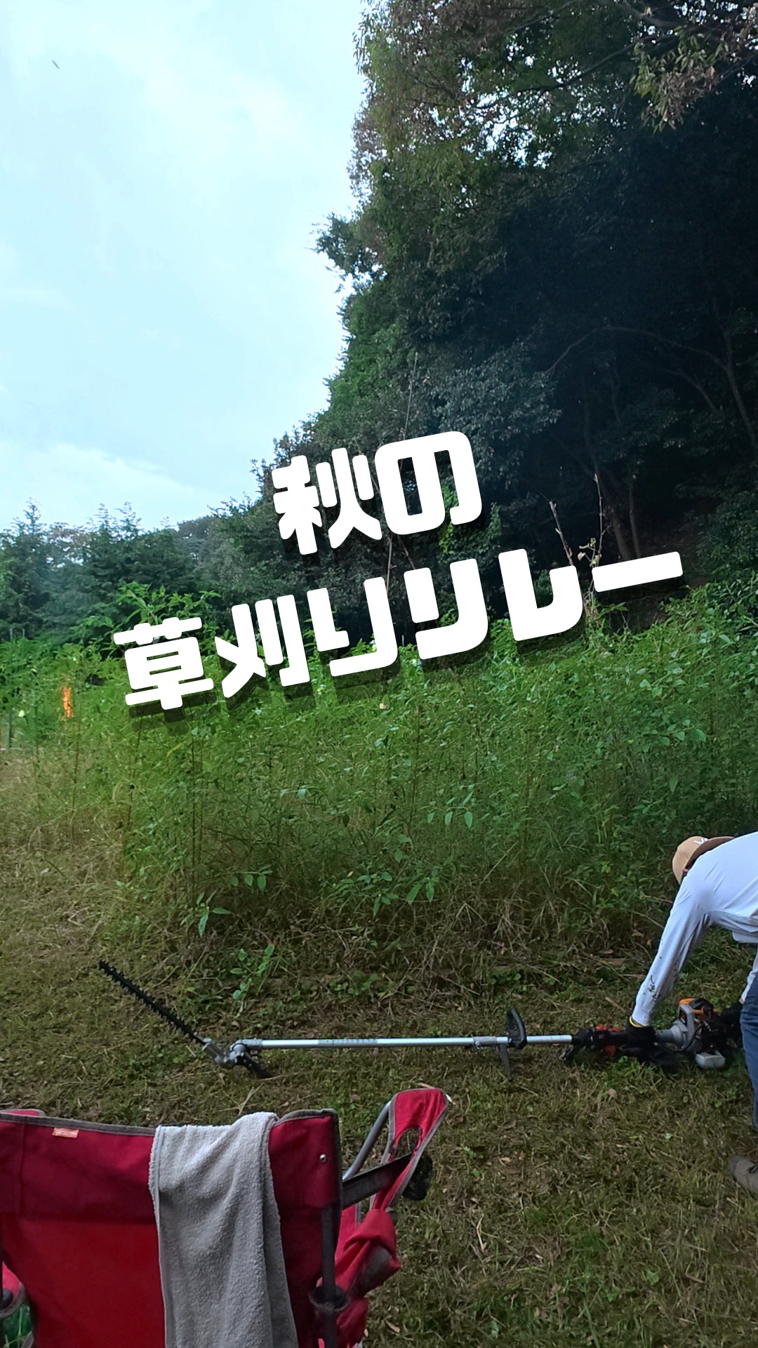 みなさま本日もお疲れ様です😊

本日は「曇り ➡️ 雷雨 ➡️ 晴れ」という大忙しなお天気の中、フルパワーで畑管理作業をしてきました！☁️⚡️☀️

今回の筋トレ（管理）メニューは、草刈り～草刈り～枝払い～そして収穫！
3種類の草払い機（草刈り機、ハンマーナイフ、トリマー）をフル活用して、畑周辺をスッキリ整えました💪✨

まっすぐ素直に伸びた雑草は
刈りやすいのですが、
ツル系の雑草が混ざった手強いエリアや、腕にズッシリくるトリマーなど、なかなかのハードワーク…。
作業完了時には時すでにおそし。
腕がプルプル震え力が入りません。
明日の筋肉痛確定ですね😂

変わりやすい天候は秋らしく
季節の動きも全身で感じられます。
アツアツに燃えている体に
豪雨も気持ちいいものです😂

最後は綺麗な青空が広がって気持ちよく終わることができました！
それでは皆様
短い秋も楽しみながら
明日も張り切っていきましょー！
アディオース！👋

#トレオフファーム #農業 #農作業 #草刈り #枝払い #家庭菜園 #農業初心者 #農業ライフ #農家の日常 #今日の湘南畑 #お疲れ様でした #筋肉痛確定
