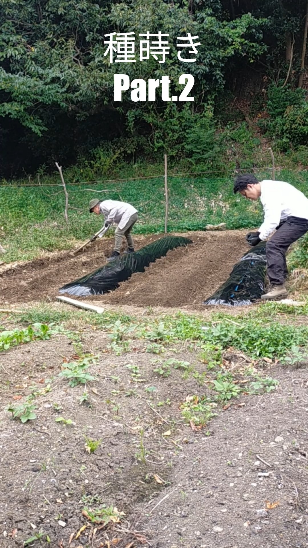 みなさまお疲れ様です😊
トレオフファーム種蒔きpart.2です！農薬不使用秋冬の湘南野菜🍃
生長が楽しみです。

＃誰でも出来る家庭菜園 #湘南野菜 #農地管理 #トレオフファーム #野菜種蒔き