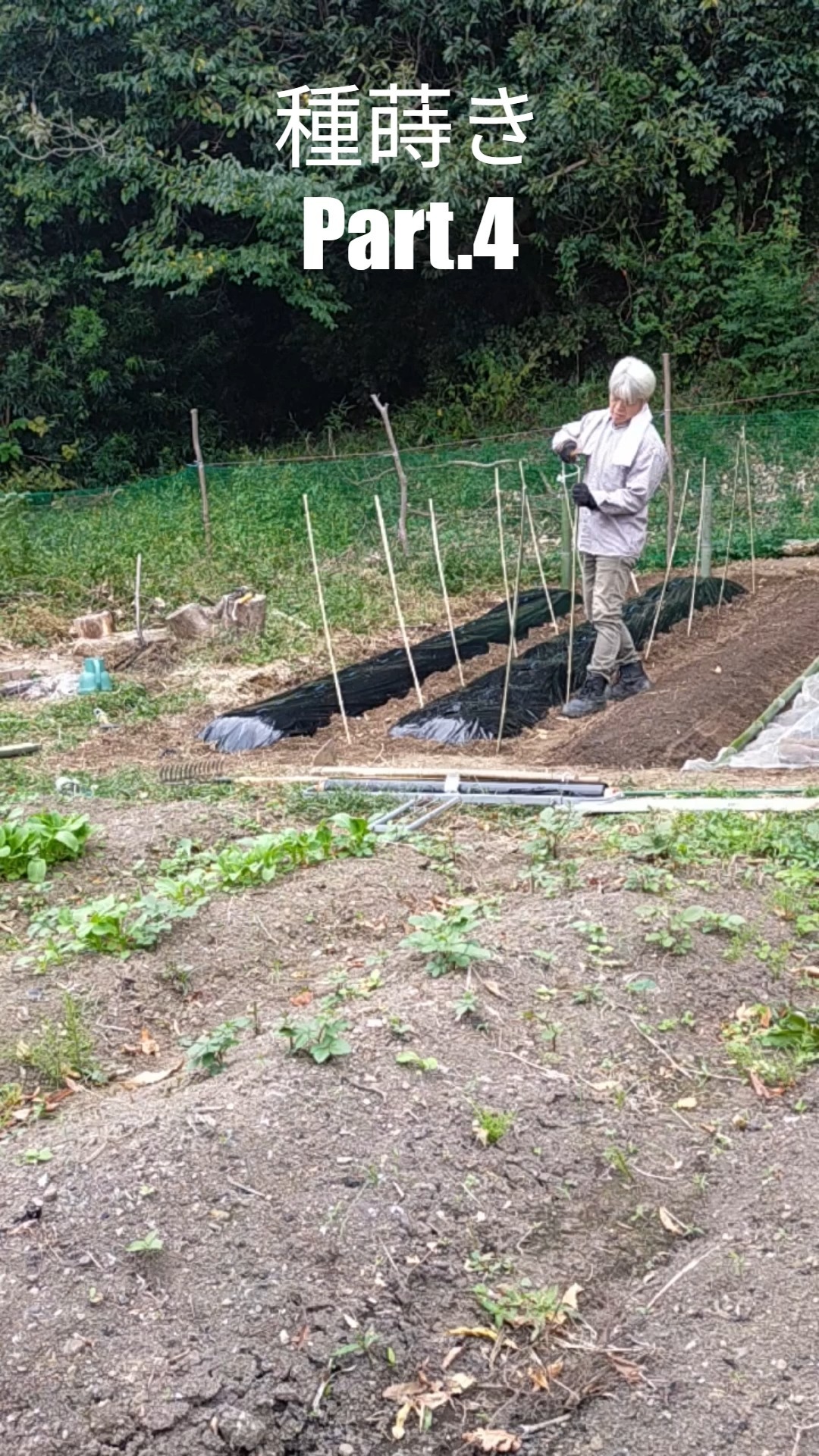 みなさまこんにちは😊
種蒔き動画PART.4（ラスト）です。今回の種蒔きは豆系がメインでした為、🐔鳥に種を食べられてしまわないように、テグスを回していく動画です。来年の4～5月頃の収穫予定になります🌱これから更に畑を広げていきたいと思います！最後までご清聴ありがとうございました！今日一日とても寒くなりましたが、頑張っていきましょー！

#秋冬湘南野菜 #畑開墾 #耕作放棄地募集 #誰でも出来る家庭菜園 #オリジナル菜園 #トレオフファーム