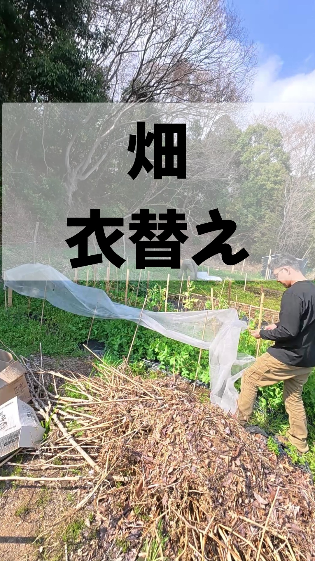 みなさま本日もお疲れ様です😊
越冬した豆類の衣替え作業を行いました🌞
暖かくなり雑草の勢いも日に日に増してきている為、常に雑草処理も並行して行っております。
スナップエンドウ、絹さや、ソラマメ栽培しておりますが、順調に生長し、5月頃には大きく実りそうな状況です🎉
また明日も頑張っていきましょー✊️

#湘南耕作放棄地畑 #トレオフファーム #スナップエンドウ家庭菜園 #絹さや家庭菜園 #ソラマメ家庭菜園 #簡単耕運