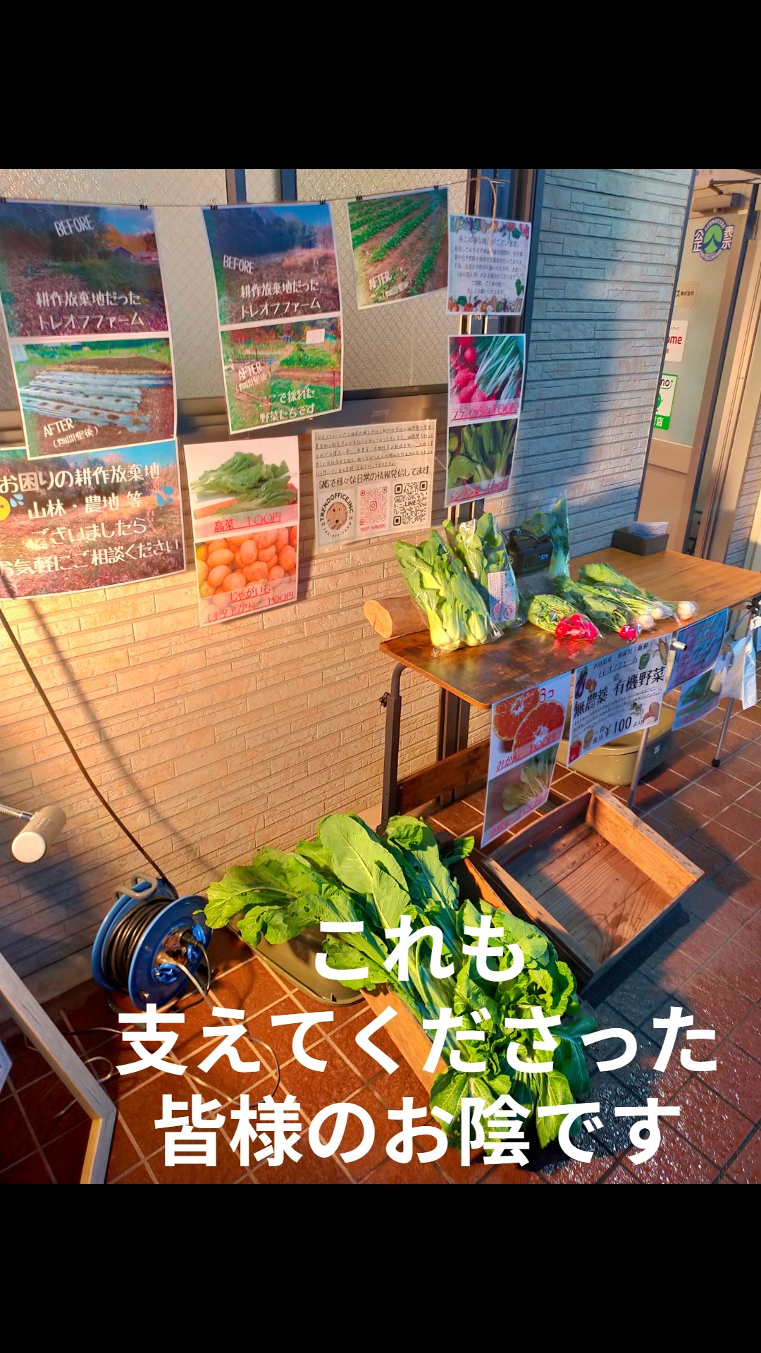 みなさま本日もお疲れ様です☺
今日は2025年！年内最後のトレオフファーム朝どれ新鮮野菜販売を行いました！虫食いあり！サイズ不揃い！発色ムラのある無骨な野菜たちですが、普段スーパーなどではお目にかかれない、農薬不使用の新鮮な美味しい野菜たちです。収穫後、店舗での出品作業に手こずっていると、いつもお世話になっておりますFCD様にお手伝いをさせてしまい、またお酒の差し入れまで頂き🥰ほんとうにすみません！助かりました、有難うございます！今宵は泥酔です。近隣店舗のお助け隊OOT様には告知POPの貼り付けを、快くご承諾頂き有難うございます！ご来店頂きました皆様、楽しい時間と貴重なお話しを聞かせて頂き有難うございます！私たちが地元地域のお手伝いをと思っておりましたが、逆に助けられ、楽しませて頂き、貴重なローカルなお話しまで聞かせて頂き。『どっちがお客さん？』状態でした。本当に感謝しかありません。皆様今後とも、懲りずにお付き合いの程、宜しくお願い申し上げます🥺また、ここより感謝申し上げます！トレオフファーム2026に向け邁進してまいります。

#湘南親子農業 #トレオフファーム #湘南無農薬野菜 #楽しく畑開墾 #気合いいらない #誰でも出来る畑 #耕作放棄地募集
