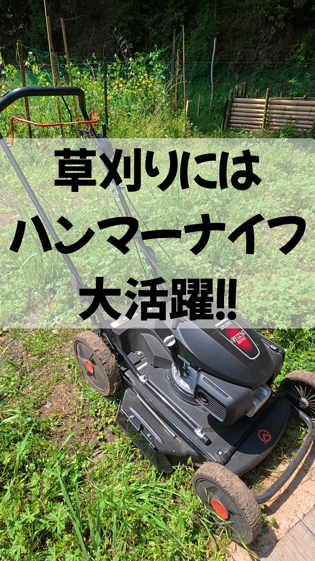 みなさま本日もお疲れ様です😊
湘南は夏を感じさせるような、暑く天気のいい最高な一日でした🌻
トレオフファームでは、畑の通路部分の雑草をハンマーナイフで一瞬で刈り取りしました！去年よりだいぶ慣れてきて作業がスムーズになりました🤪
畑のメンテナンスだけでなく、お庭の手入れにも便利なアイテムです。
ガソリンで稼働しますので、オイルの混合も必要なしです。
手持ちの草刈り機とは違って、一定の長さに刈り取れるので、仕上がりもきれいに見えます😲
その後、スナップエンドウの収穫🥬
次回の播種に向けての畝作りまで完了しました🏄‍♂️
本日の作業は以上となります。
また、明日もがんばっていきましょー！！

#ハンマーナイフ草刈り #ワンオペ畑 #トレオフファーム #畑の雑草対策 #湘南無農薬野菜 #湘南オーガニック