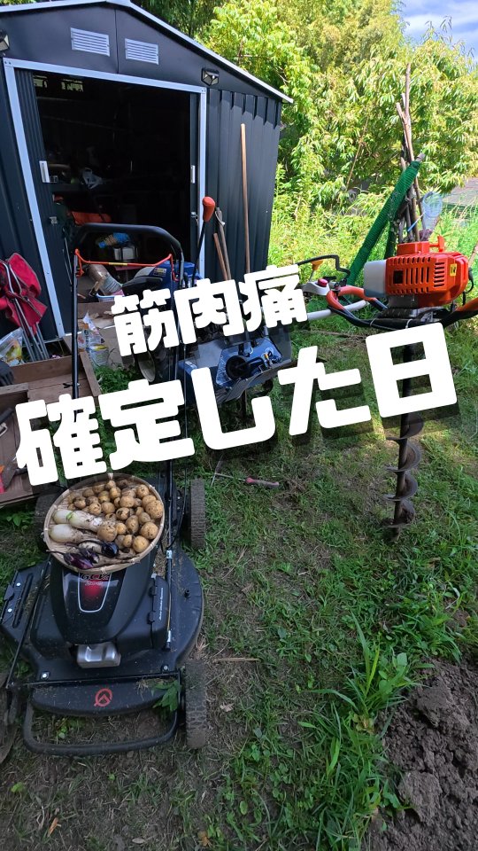 みなさま本日もお疲れ様です😊
ここ神奈川県湘南エリアでは暑かったり🌞涼しかったり⛄
体温調整が難しい日が続いておりますが、みなさまいかがお過ごしでしょうか。
トレオフファームでは今年の夏も待望の無農薬新鮮野菜販売を行う為🥬
梅雨時期の晴れ間を狙っては、畑で作業を行っております。
多分みなさんもそうですよね。
耕運→定植→雑草と戦うを常に繰り返しており、気持ちいいほどの筋肉痛でございます💪
畑作業に限らず屋外の運動には、熱中症、けが等にはお気を付けください。
明日は待ちに待った週末ですね。
天気は生憎の模様ですが、
休みの人も、仕事の人も
楽しんで行きましょー！！
Have a nice weekend‼

#トレオフファーム #耕作放棄地開墾 #竹支柱 #DIY害獣予防 #よい週末を