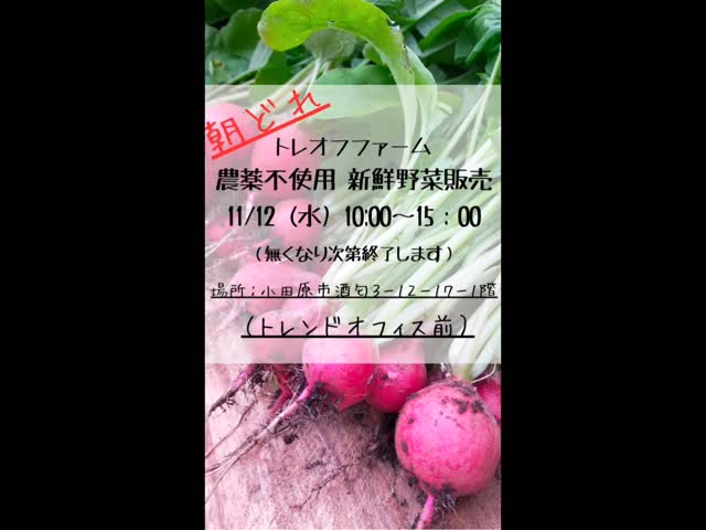 みなさまお疲れ様です^_^
耕作放棄地を開墾し、栽培期間無農薬で育てられた、当日朝どれ新鮮野菜の第2弾販売を行います。夏野菜のナスやオクラ、唐辛子類から、秋冬物の野菜に切り替わるこの時期は、ラディッシュ、小松菜、チンゲンサイ、みかん、高菜等の販売を予定しております（収穫状況により変更ございます）どうぞみなさまのご来場お待ちしております。

■■■■■■■■■■■■■■■■■■■■■■■■■■■
日時:11月12日（水）10時〜15時
（商品なくなり次第）
場所:小田原市酒匂3-12-1トレンドオフィス㈱
■■■■■■■■■■■■■■■■■■■■■■■■■■■

#湘南朝市 #湘南マルシェ #無農薬野菜販売 #冬野菜耕作 #トレオフファーム