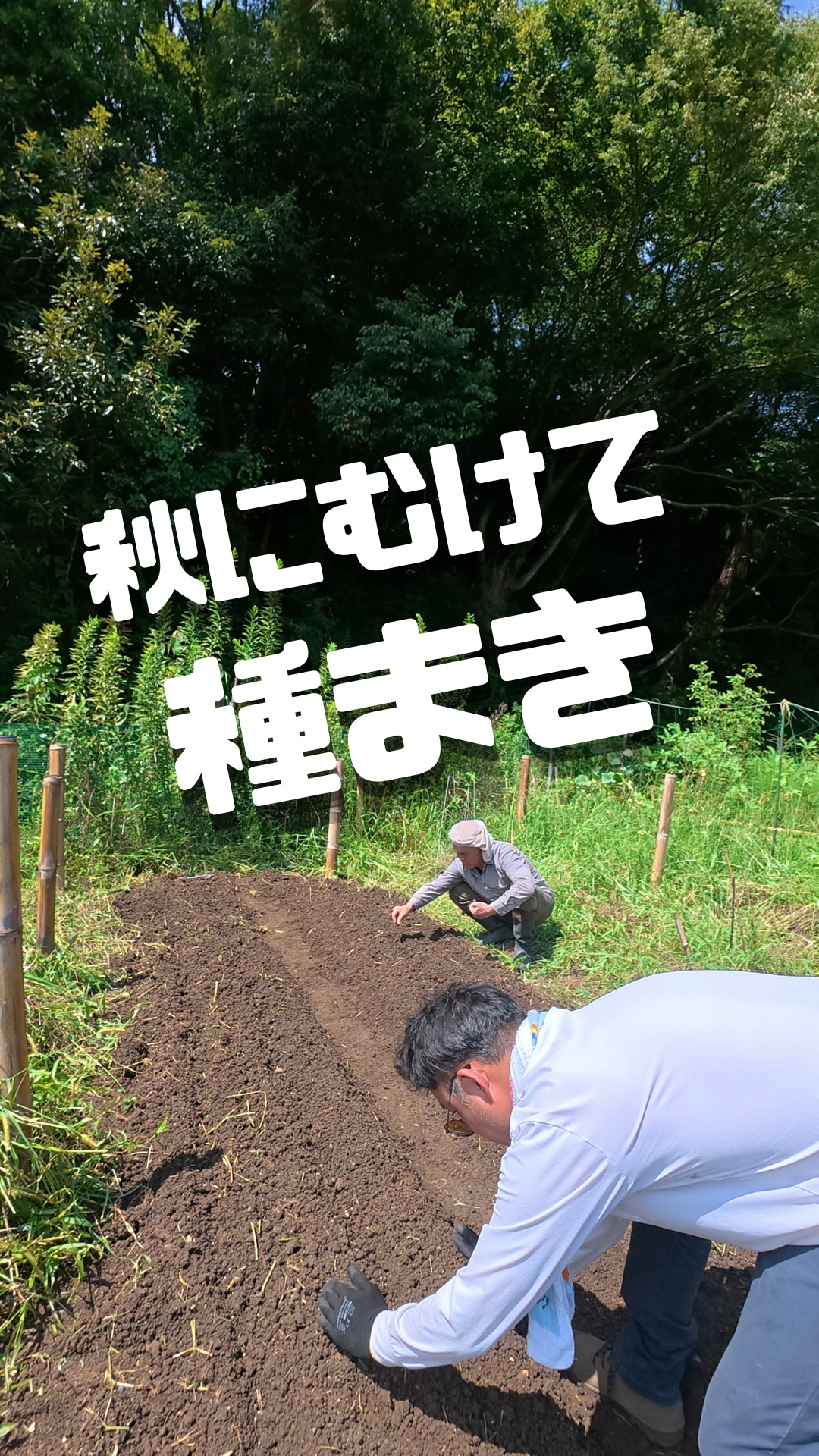 みなさま本日もお疲れ様です😊

おにぎりって何でこんなに
美味しいんでしょうね🍙

さてトレオフファームは
現在、秋に向け準備してます🌱
草刈り→片付け→耕運→播種作業行いました。
夏はもう終わりでしょうか。
湘南はだいぶ涼しくなってまいりました。
畑作業ではアクシデントもありながらも、なんとか1日コンプリートしました。みなさまも畑作業でのケガには
お気をつけて👉

暑すぎた夏で作物の生長がいまいちですが。
今になって最近涼しくなってきたからか旺盛な生長が始まりました🥬

畑作業では派手なことはないけれど、
こういう毎日の積み重ねが大切だと感じます。
今日もトレオフファーム、元気に活動中です🌱

それでは明日も頑張っていきましょー！

#トレオフファーム
#湘南農業
#畑仕事
#野菜づくり
#農業親子
#農業のある暮らし
#自然と暮らす
#土に触れる