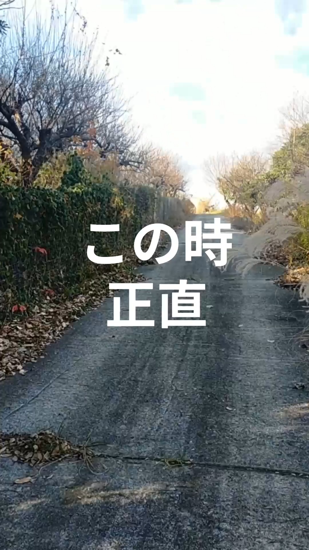 みなさま本日もお疲れ様です😊
明日から最強寒波ですね。畑が心配ですが野菜も僕たちも風邪ひかないように。
本日は新たに休耕地管理をご依頼され、現地確認を行ってきました！
耕作放棄された土地をどのように活用するか、どんな活用方法があるか等、地域の方々と調整する必要がございます。農地は農業従事者以外の方の取得が難しく、様々な制約があります。
お困りの遊休地、休耕地等ございましたらお気軽にお問い合わせください。
明日からも楽しんでいきましょー！！

#休耕地管理 #農地開墾 #湘南野菜栽培 #湘南無農薬野菜 #湘南山林 #湘南ハイキング