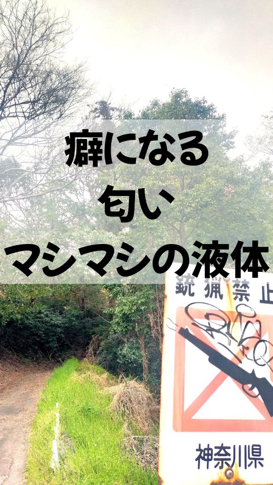 みなさま本日もお疲れ様です😊
暖かくなり、野菜の天敵でもある
害虫たちも活発に動き出し始めました！
そんな時は、昨年より大活躍の魔法の液体をばらまいていきたいと思います。この唐辛子とニンニクマシマシのお酢を何百倍にも薄めて吹きかけますが、風向きによっては、何とも言えないスパイシーな世界に連れていかれます🤮
みなさまもその日の風向きにあった方向から、吹きかけてみましょう！
それでは残り半日！明日からお休みの人も、お仕事の人も張り切っていきましょー🎉

#アブラムシ対策 #無農薬野菜 #トレオフファーム #湘南耕作放棄地 # 湘南桜満開