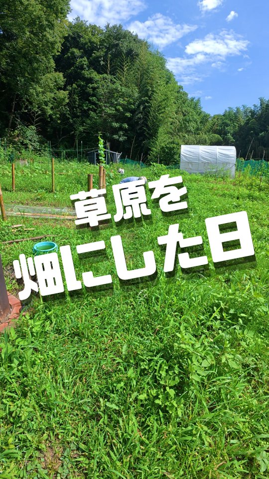 みなさま本日もお疲れ様です😊

農薬不使用の夏の畑では、毎回雑草たちと楽しく戯れさせてもらっているトレオフファームです😭

今年の夏は
例年以上の暑さが待ち構えているそうです。
この序盤から飛ばし気味のスーパーエルニーニョさんですが、好きにやらせて、私たち人間は暑さには逆らわず、お体ご自愛くださいませぇ～
とは言うものの
畑は甘くない！と言わんばかりの
雑草様御一行とほどほどに遊んでいきたいと思います。
農薬不使用栽培の宿命です。

みなさまお仕事はほどほどに、
今年の夏も楽しんでいきましょー🎉

#湘南耕作放棄地 #2026エルニーニョ #トレオフファーム #簡単草刈り #ハンマーナイフ畑