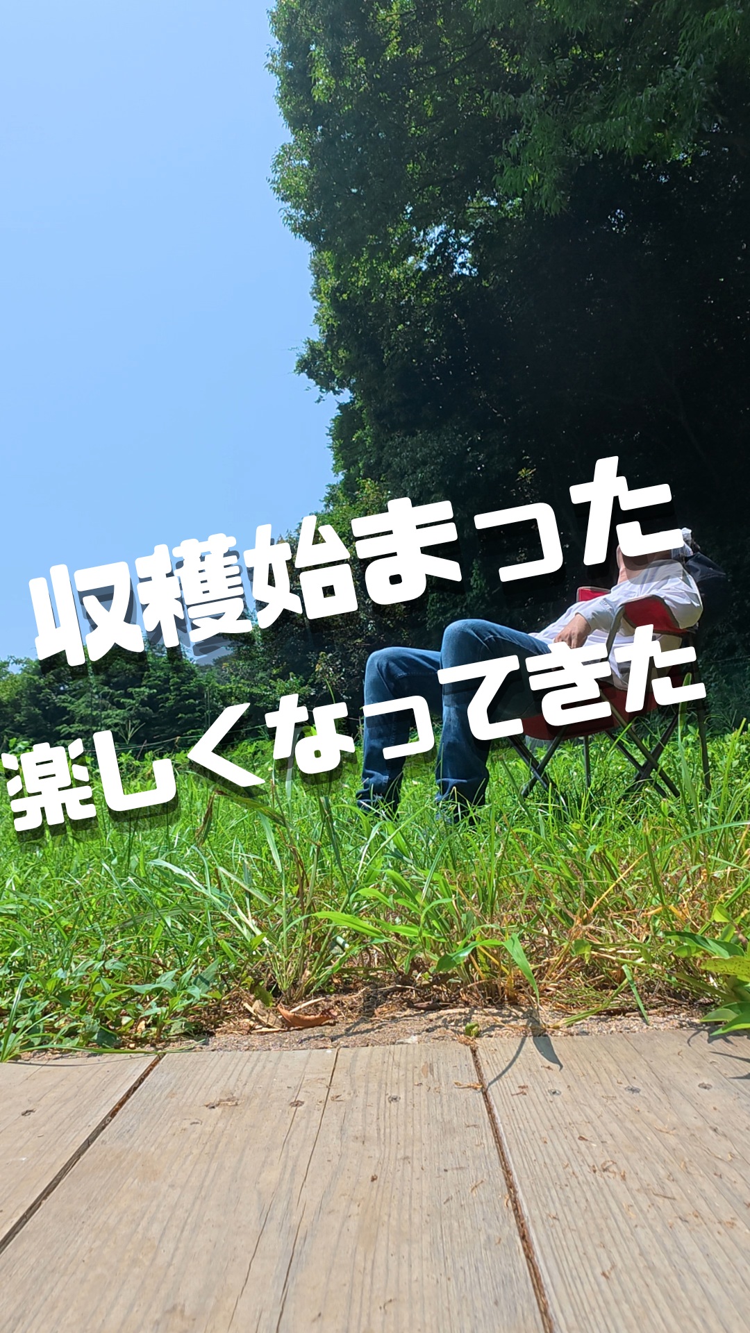 みなさま本日もお疲れ様です😊
毎日記録的な暑い日が続いておりますが、いかがお過ごしでしょうか🌟

トレオフファームの夏野菜たちも、
こんなにいきなり暑くなって
慌てたかのような、収穫がスタートしました！

とにかく毎回、雑草との戦いで
楽しく畑作業させていて頂いております💯

毎年夏が長引くようになってきましたが、体調にはお気をつけて、水分補給を忘れずに、この夏も楽しんでいきましょう💪

#トレオフファーム
#湘南夏野菜収穫開始
#湘南アスパラガス
#湘南耕作放棄地開墾
#農地管理