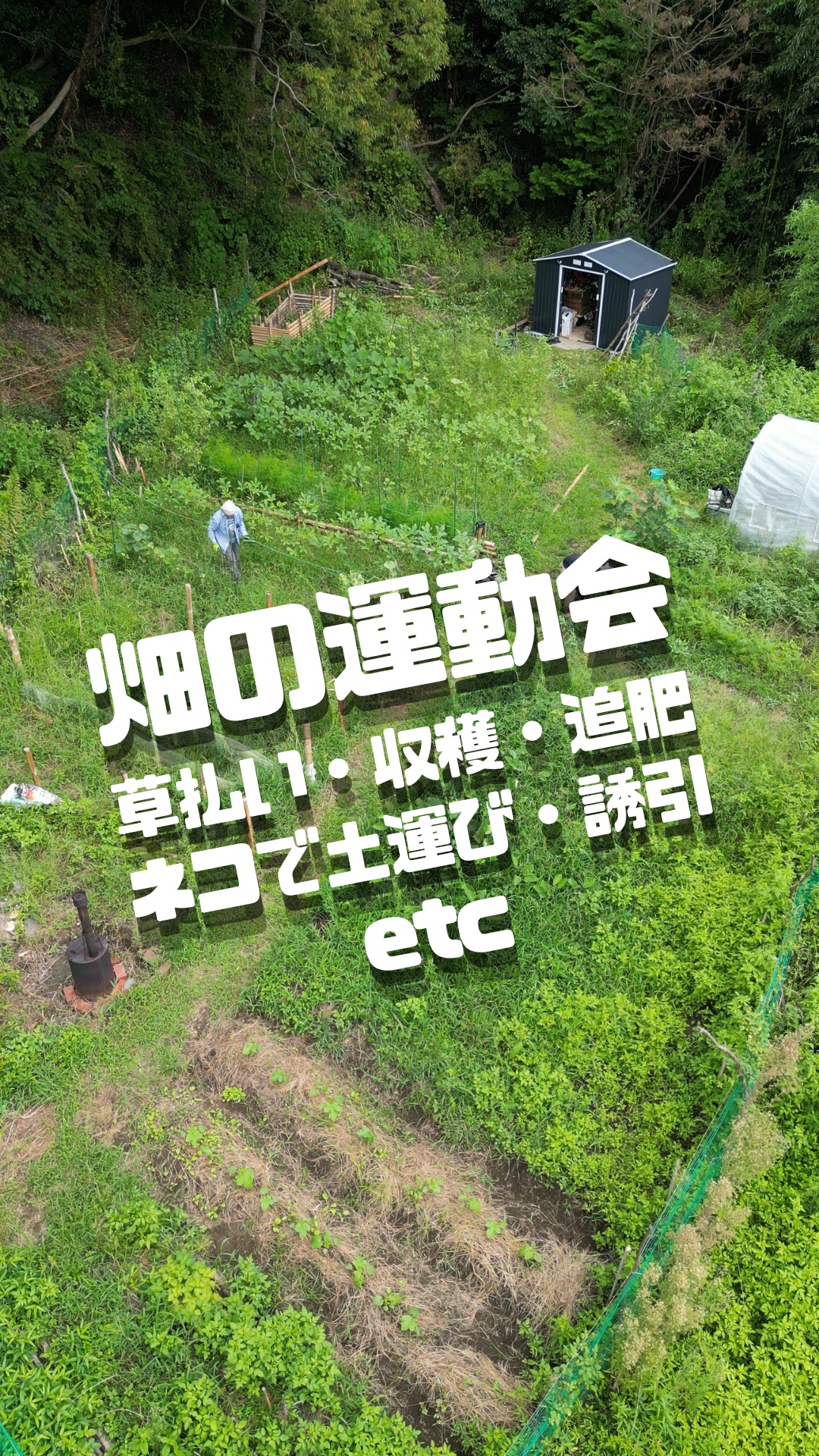 みなさま本日もお疲れ様です😊

8月も一瞬で過ぎ去り。
少し涼しい9月の始まり9/1。
作業のしやすい気候ではあったものの、トレオフファーム
おなじみ雑草との戦いと
秋に向けての準備もしており、
運動会のリレーのように作業をしておりました💨
みなさまはいかがお過ごしでしょうか。

草払いして、収穫して、
追肥して、土を入れて、
伸びた作物を誘引して。
やることは尽きません。

畑の中を行ったり来たり。
しゃがんだり、立ったり、運んだり。
これはもう、畑トレです。

汗をかいて、
土に触れて、
野菜の成長を感じて。
大変なこともなんだか楽しい。

今日もトレオフファームは、
自然の中で元気に活動中です。

「育てる」って、やっぱり面白い。

🌱 TREOFF FARM
自然が育む、本物の恵み。

#トレオフファーム #TREOFFFARM #トレンドオフィス #農業 #畑 #農作業 #農ある暮らし #畑仕事 #野菜作り #野菜づくり #家庭菜園 #収穫 #草払い #追肥 #土入れ #誘引作業 #農作業日記 #農園の日常 #自然のある暮らし #土に触れる #食育 #地産地消 #神奈川農業 #神奈川県 #農業を楽しむ #畑トレ